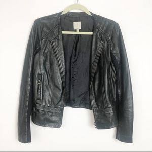 halogen collarless leather jacket